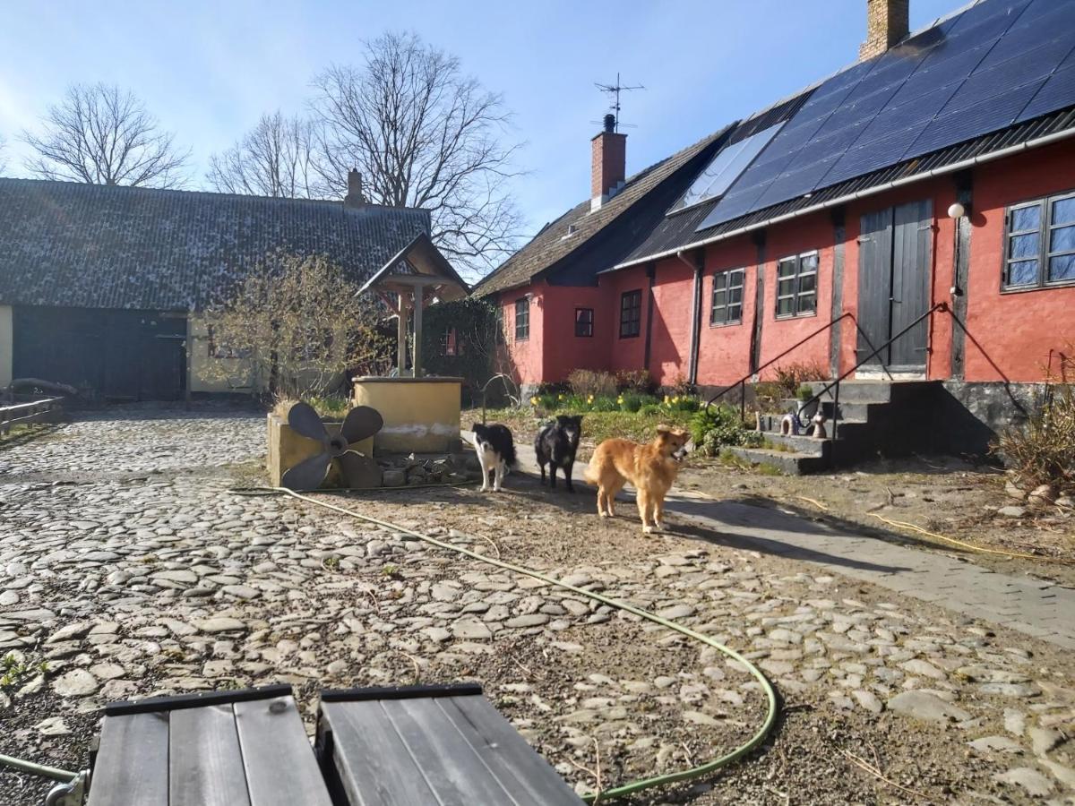 Bolshavnvej5 Bed & Breakfast エクステリア 写真